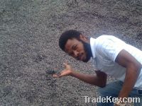 Palm Kernel Shells (PKS) Available For Sale