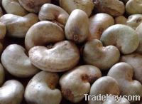 Raw Cashew nuts for Sale