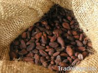 Sell Cocoa Beans (Ghana Origin) for Sell