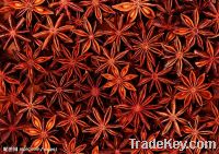Sell Pure Natural Star anise oil