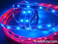 Sell CE and RoHS 5v magic led flexible led strip lighting