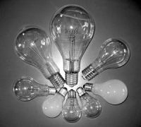 Sell Incandescent Bulb/Lamp (A19)
