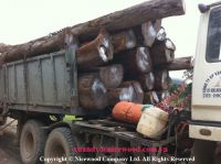 Sell 1, 000m3 rosewood round log