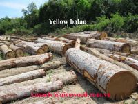 Selling Yellow balau log