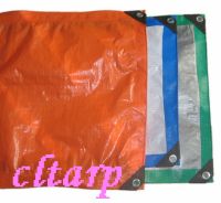 Sell different specification pe tarpaulin