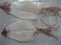 Sell dried squid