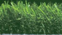 Sell artificial grass and turfs