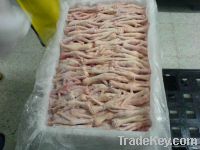 Export Chicken Paw Chicken Feet