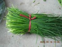 dried chive