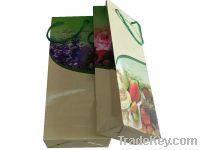 Sell Promotional Paper Bag