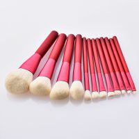 12 PCS/set Hot sale Competitive High Quality Wood Handle High Level Makeup Brushes Set