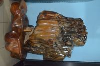 Polished Fossil Wood Stone(Hakeek Stone)