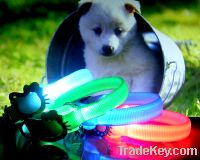 Sell LED pet collar GW-15002