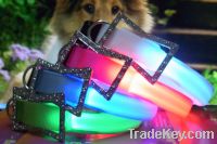 Sell LED Dog Collar GW-20009