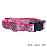 Sell Pet Collars GW-B049