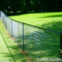 Sell Wire Mesh Fencing