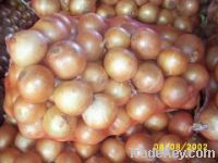 Sell chinese fresh yellow onion crop 2011