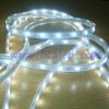 Sell IP65 LED flexible strip