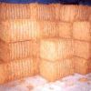 sell offer of coconuts, coconut fibre & other coconut products