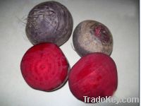 Sell beetroot red