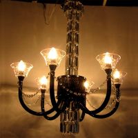 modern crystal candle lamp/chandelier lighting/MD-1002-6CR