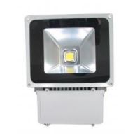 Sell LED Flood Light 100W LED Luminaire