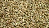 Sell Robusta green coffee beans