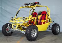 Sell Go Kart/Go Cart(Buggy-250cc-1)