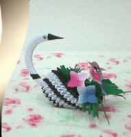 Flower Swan