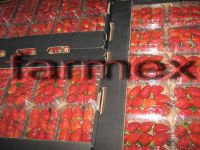 Sell Fresh Strawberry