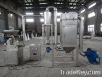 Full Automatic Turmeric Powder Plant