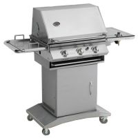 Sell Classic Stainless Steel Gas BBQ Grill (DGB-301SP)