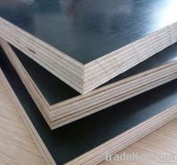 Sell Film Face Plywood