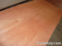 Sell Competitive Price Hardwood Plywood