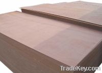 Sell Red Wood Veneer Plywood