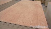 Sell Packing Grade Plywood 1220x2440mm