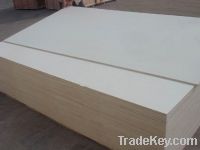 Sell Birch Veneer Plywood