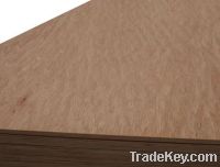 Sell Eucalyptus Plywood