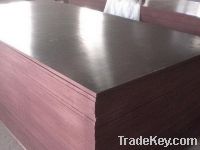 Sell Concrete WBP Phenolic Glue Film Faced Plywood