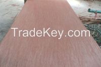 Sell Red Bintangor Plywood