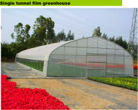 Single Tunnel Greenhouse