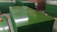 New Green/Blue PP Plastic Film Faced Plywood