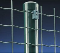 Sell Euro welded fence