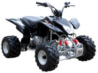 Sell 200cc/250cc Off Road Use ATV(RA-ATV015)