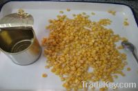 canned sweet corn 425g(250g)