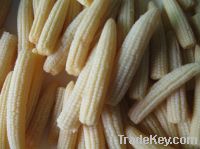 canned baby corn 425g(200g)