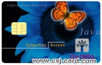 IC card, IC card supplier, chip card