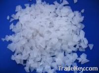 Sell 4-Hydroxyphenylacetamide