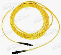 Sell MTRJ-MTRJ  fiber jumper cord