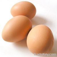 Our company has experience in CHIKEN EGGS export to many countries